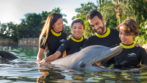 royal swim with dolphin in bahamas